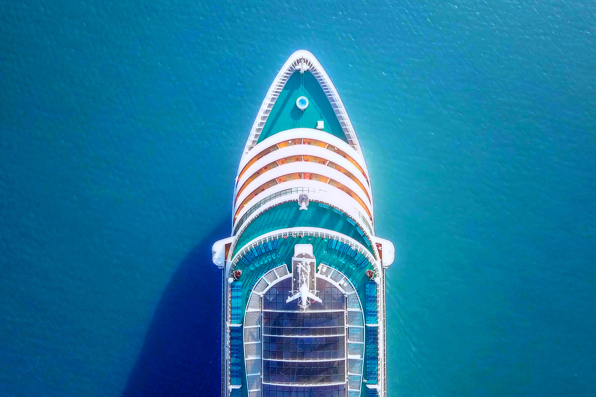 Cruise Bookings